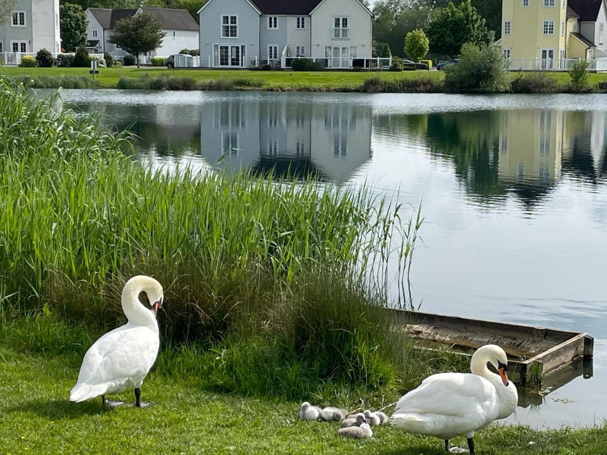 Nyhavn Lakeside Cottage Cirencester Extérieur photo